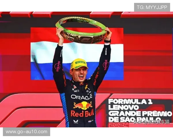 维斯塔潘巴西站超车路径分析,17位发车至领奖台 维斯塔潘巴西站超车路径分析,17位发车至领奖台